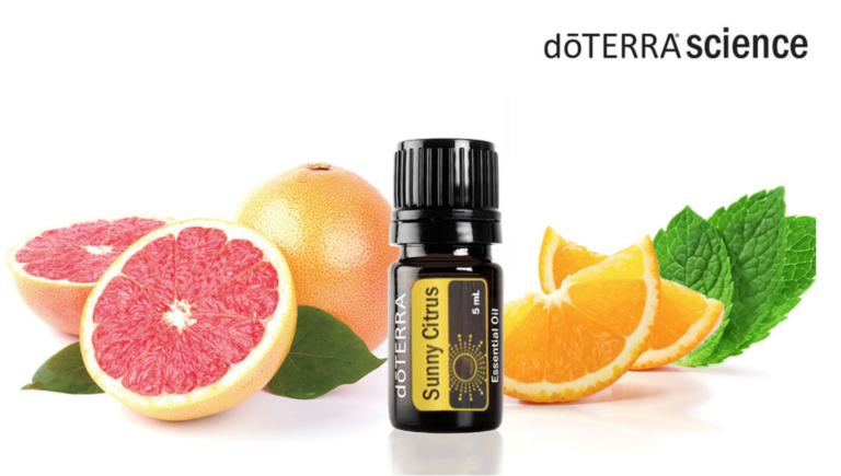 Trio Citrus Oils - Red Mandarin, Kumquat and Sunny Citrus - Essential ...